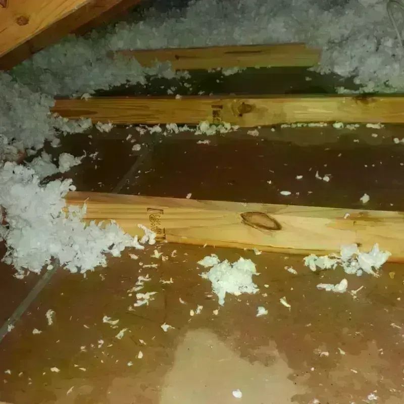 Attic Water Damage in Great Neck Estates, NY